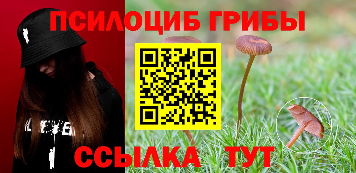Слободской  Псилоцибиновые грибы Psilocybe  Вход с VPN 